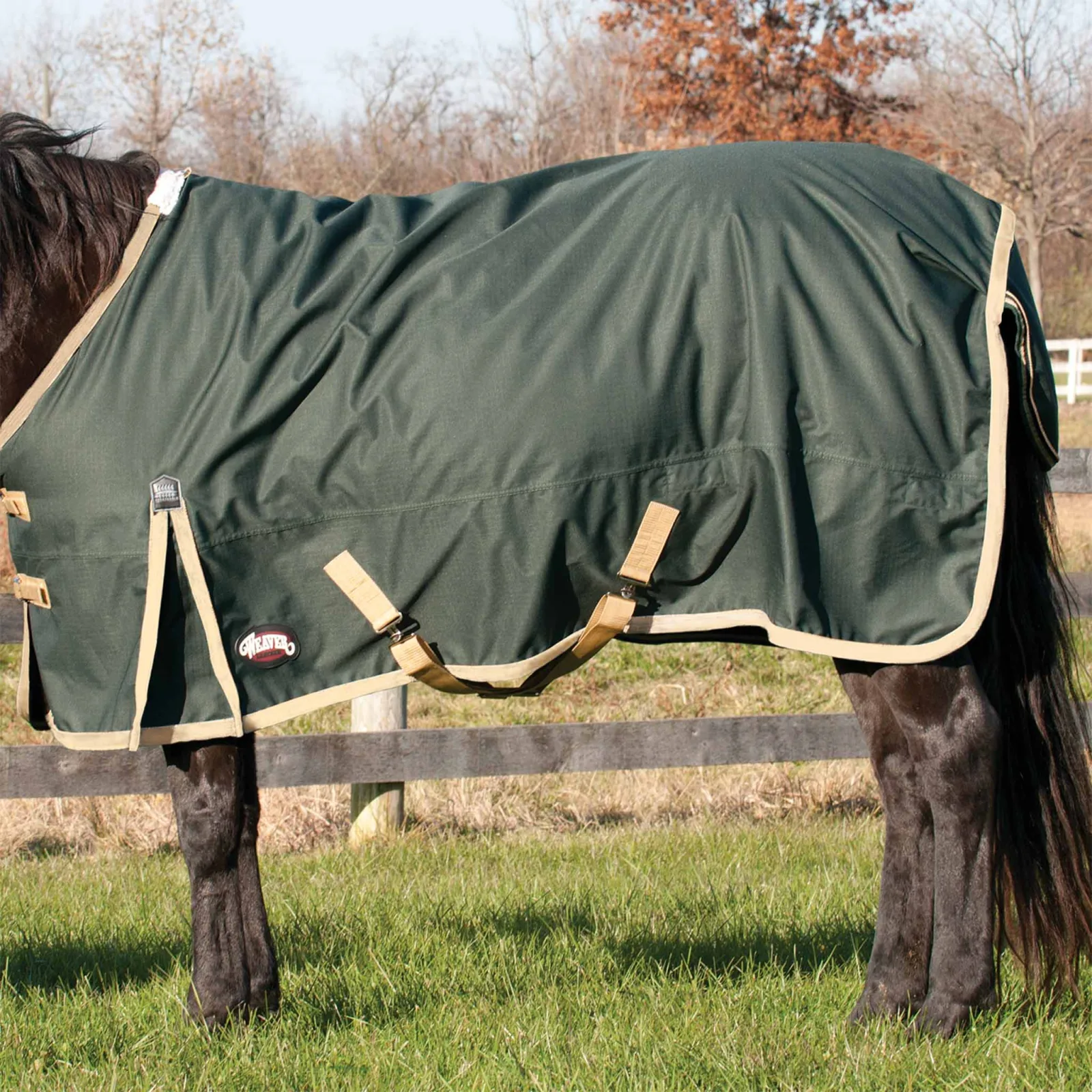 Horse Blanket for Turnout, Medium Weight, 200g Fill, 600 Denier Ripstop - Image 2