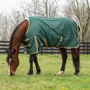 Horse Rain Sheet for Turnout, Lightweight, No Lining, 600 Denier