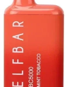 Mint Tobacco EB BC5000