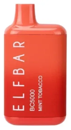 Mint Tobacco EB BC5000