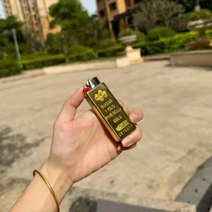 Swiss Golden Bar Design Lighter Case